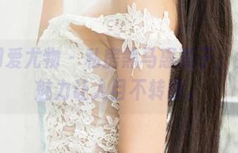 尤果网爱尤物 – 私房黑马惠惠子，女王的魅力让人目不转睛。